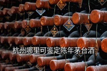 杭州哪里可鑒定陳年茅臺酒