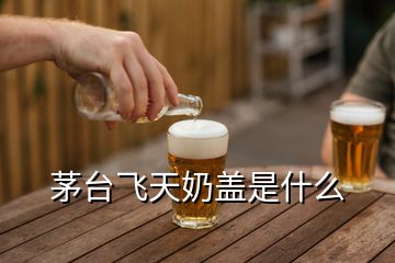 茅臺(tái)飛天奶蓋是什么