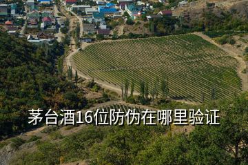 茅臺酒16位防偽在哪里驗(yàn)證