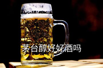 茅臺(tái)醇好好酒嗎