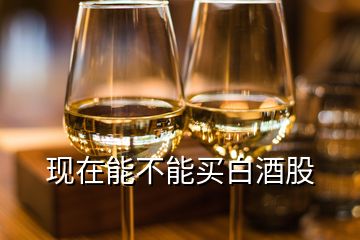 現(xiàn)在能不能買白酒股