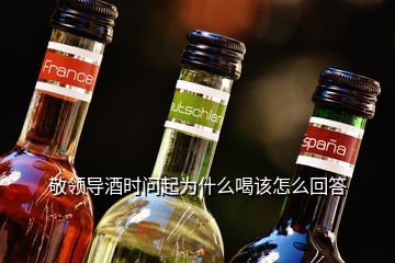 敬領(lǐng)導(dǎo)酒時問起為什么喝該怎么回答