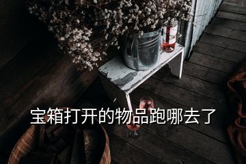 寶箱打開的物品跑哪去了