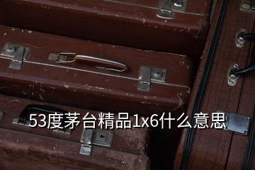 53度茅臺精品1x6什么意思