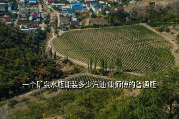 一個礦泉水瓶能裝多少汽油 康師傅的普通瓶