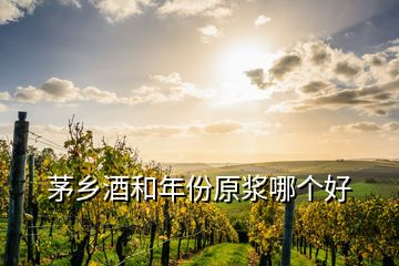 茅鄉(xiāng)酒和年份原漿哪個(gè)好