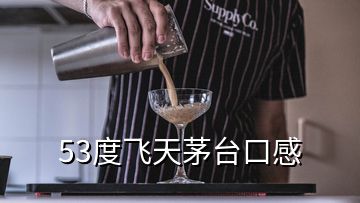 53度飛天茅臺(tái)口感