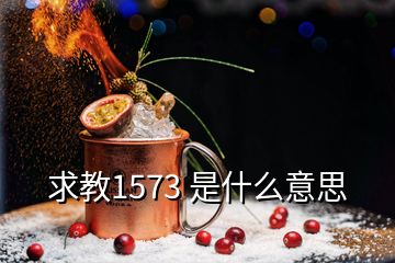 求教1573 是什么意思