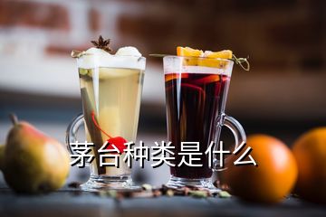 茅臺種類是什么