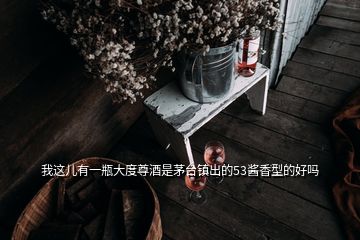 我這兒有一瓶大度尊酒是茅臺鎮(zhèn)出的53醬香型的好嗎