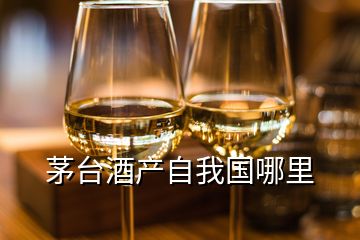 茅臺(tái)酒產(chǎn)自我國(guó)哪里