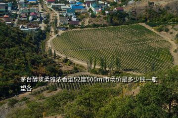 茅臺醇漿柔雅濃香型52度500ml市場價是多少錢一瓶望各