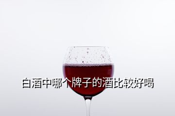 白酒中哪個(gè)牌子的酒比較好喝