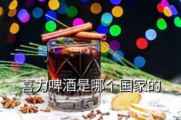 喜力啤酒是哪個國家的