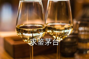 求鑒茅臺(tái)