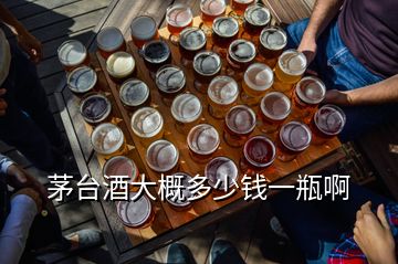 茅臺(tái)酒大概多少錢(qián)一瓶啊