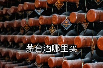 茅臺(tái)酒哪里買(mǎi)