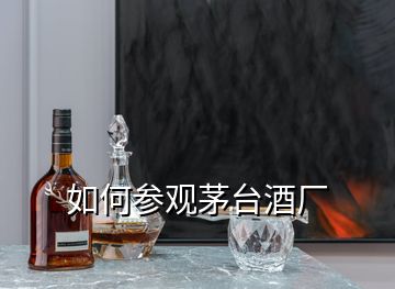 如何參觀茅臺酒廠