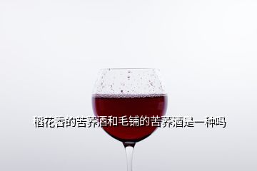 稻花香的苦蕎酒和毛鋪的苦蕎酒是一種嗎