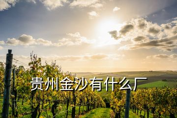 貴州金沙有什么廠(chǎng)