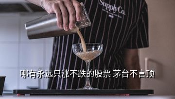 哪有永遠只漲不跌的股票 茅臺不言頂