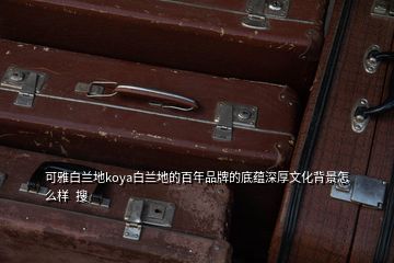 可雅白蘭地koya白蘭地的百年品牌的底蘊(yùn)深厚文化背景怎么樣  搜