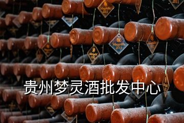 貴州夢靈酒批發(fā)中心