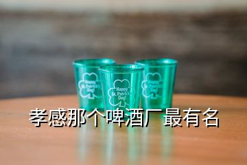 孝感那個(gè)啤酒廠最有名