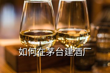 如何在茅臺建酒廠