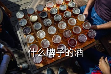 什么牌子的酒