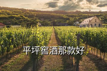 平坪窖酒那款好