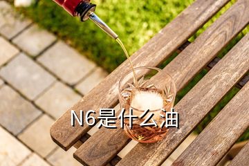 N6是什么油