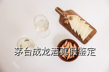 茅臺成龍酒真假鑒定