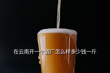 在云南開一個(gè)酒廠怎么樣多少錢一斤