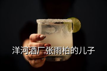 洋河酒廠張雨柏的兒子