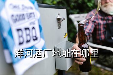 洋河酒廠地址在哪里