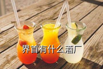 界首有什么酒廠