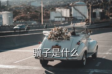 驥子是什么