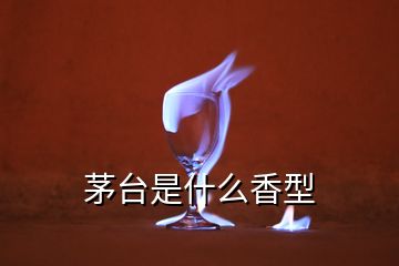 茅臺(tái)是什么香型