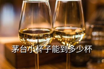 茅臺(tái)小杯子能到多少杯