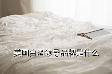 美國白酒領(lǐng)導(dǎo)品牌是什么