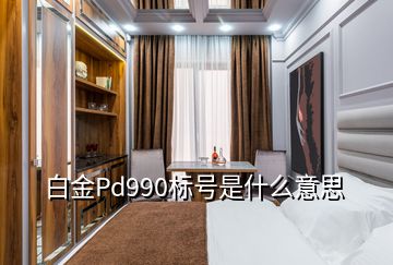 白金Pd990標(biāo)號是什么意思