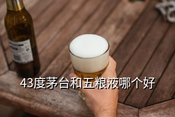 43度茅臺和五糧液哪個好