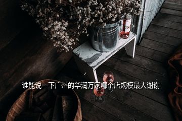 誰能說一下廣州的華潤萬家哪個店規(guī)模最大謝謝