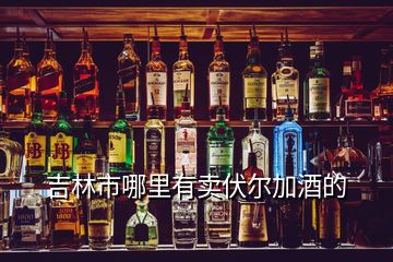 吉林市哪里有賣伏爾加酒的