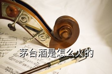 茅臺(tái)酒是怎么火的