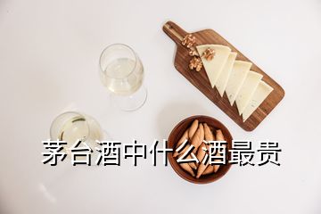 茅臺(tái)酒中什么酒最貴