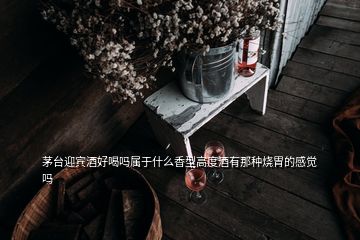 茅臺(tái)迎賓酒好喝嗎屬于什么香型高度酒有那種燒胃的感覺嗎