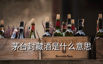 茅臺(tái)封藏酒是什么意思