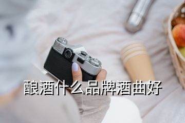 釀酒什么品牌酒曲好